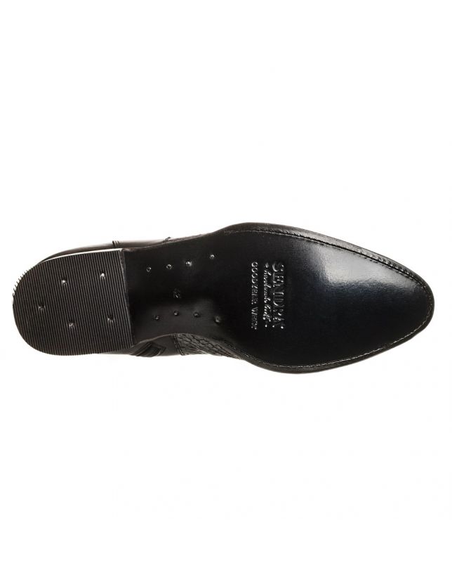 SENDRA 10855P PYTHON