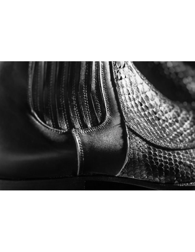 SENDRA 10855P PYTHON