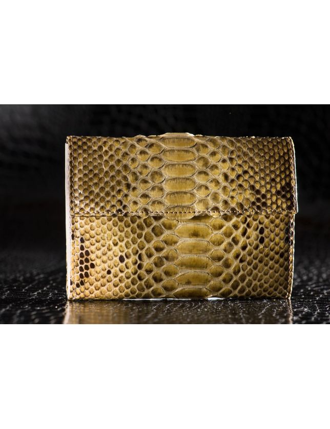 SENDRA  769 PYTHON BARR/PANNIZO